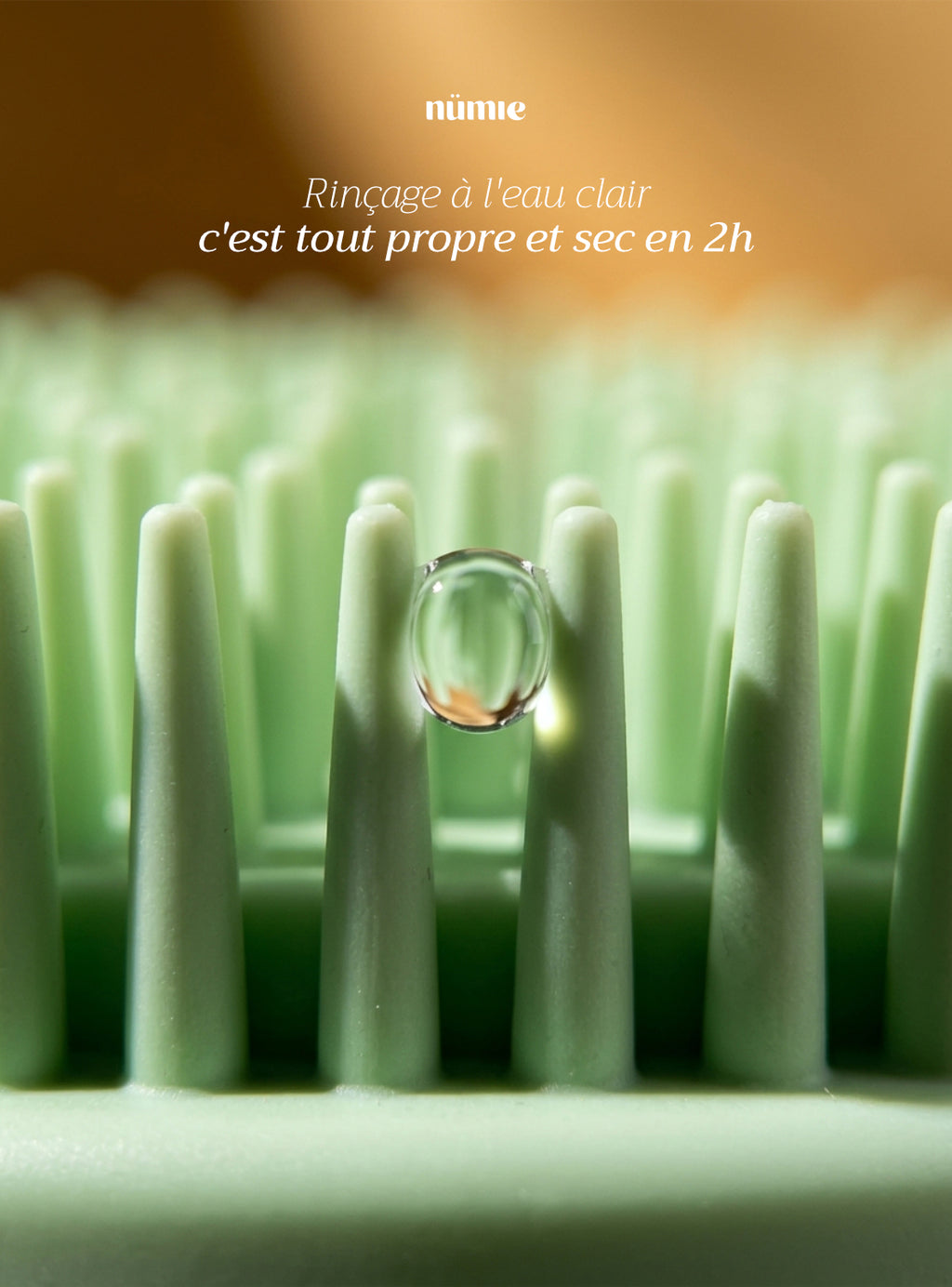 La brosse nümie