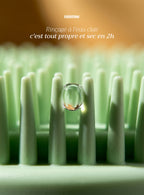 La brosse nümie